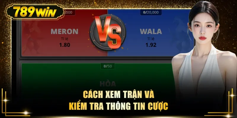 Cách xem trận và kiểm tra thông tin cược
