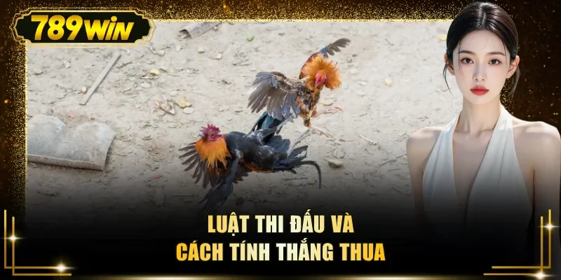 Luật thi đấu và cách tính thắng thua