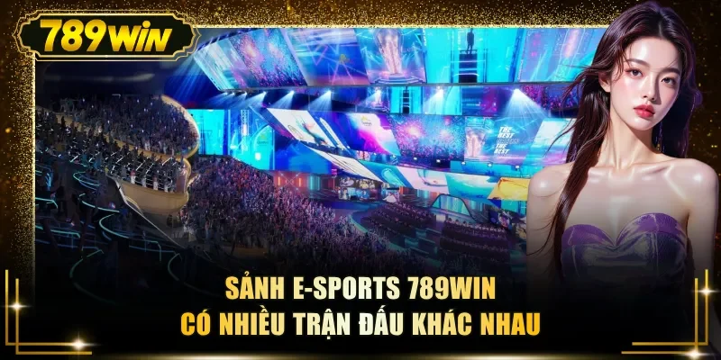 sanh e sports 789win co nhieu tran dau khac nhau Sảnh e-sports 789WIN có nhiều trận đấu khác nhau